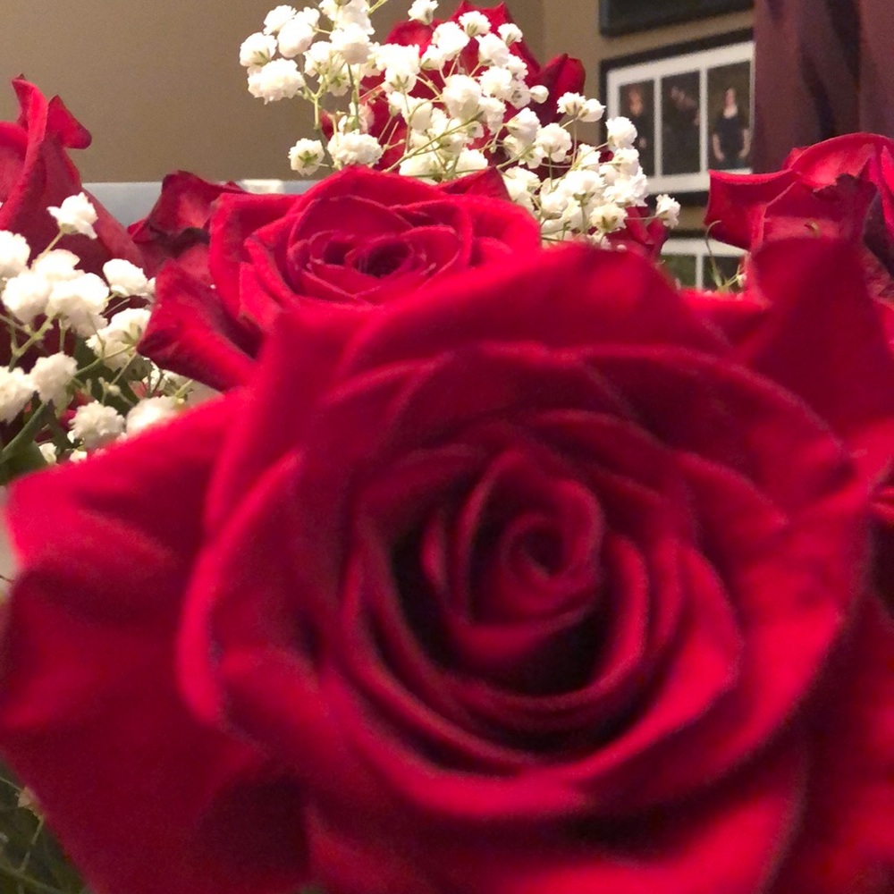 Meet your Posher, Amber